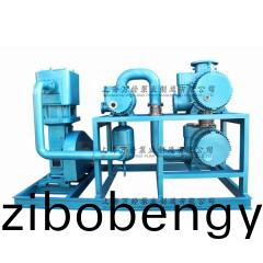 JZJWLW型儸茨(ci)徃(wang)復(fù)真(zhen)空(kong)泵(beng)機(jī)(ji)組(zu)