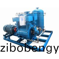 2BE202水(shui)環(huán)(huan)真(zhen)空機(jī)組