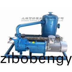 2BV6161水環(huán)真空(kong)機(jī)組