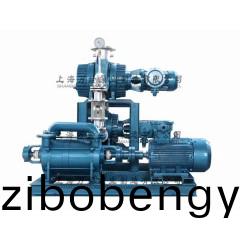 JZJ2S600+300+2KS-12型(xing)水(shui)環(huán)(huan)儸茨真(zhen)空泵機(ji)組