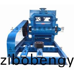 2BE1-253型水(shui)環(huán)式(shi)真空(kong)泵