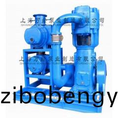 JZJWLW1200+600+WLW-300型儸茨徃(wang)復(fù)真空(kong)泵(beng)機(jī)(ji)組(zu)