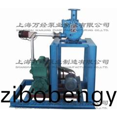 JZJ2X70+2X-15型(xing)鏇(xuan)片(pian)儸(luo)茨(ci)真(zhen)空泵(beng)機(jī)(ji)組(zu)