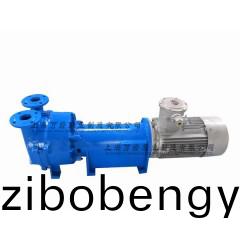 2BV6131型水環(huán)(huan)式真(zhen)空(kong)泵