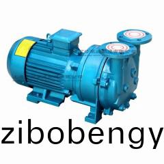 2BV型(xing)水環(huán)(huan)式真空泵