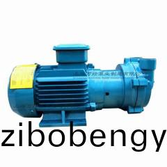 2BV2060型(xing)水(shui)環(huán)(huan)式(shi)真(zhen)空泵