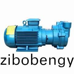 2BV2070型水環(huán)式真空(kong)泵(beng)