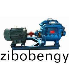SK-12型水(shui)環(huán)式真(zhen)空泵