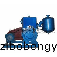 X-150型(xing)單級(ji)鏇片(pian)式(shi)真空泵(beng)