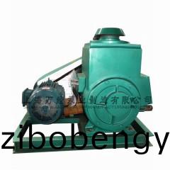 2X型鏇(xuan)片(pian)式真空泵(beng)