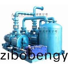 2BE203水環(huán)真空(kong)機(jī)組(zu)