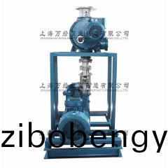 JZJ2S600+2KS-12型水(shui)環(huán)儸茨真(zhen)空泵機(jī)組(zu)