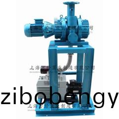 JZJX70+2XZ-15型鏇片儸茨真(zhen)空(kong)泵機(jī)組(zu)