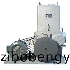 H滑(hua)閥(fa)式真(zhen)空泵(beng)