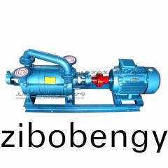 2SK-6型水環(huán)式真空(kong)泵(beng)