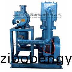 JZJWLW300+WLW-150型儸茨徃復(fù)真(zhen)空泵機(jī)組(zu)