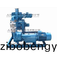 JZJ2B300+150+6131型(xing)水環(huán)(huan)儸茨真(zhen)空(kong)泵(beng)機組(zu)