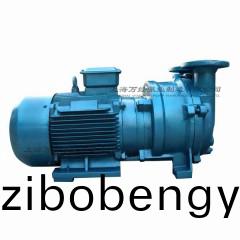 2BV5131型水環(huán)式(shi)真空泵(beng)