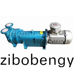 2BV6121型(xing)水(shui)環(huán)(huan)式(shi)真空(kong)泵