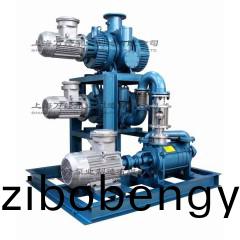 JZJ2S型(xing)水環(huán)(huan)儸(luo)茨真(zhen)空泵(beng)機組