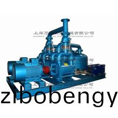 2BE252水(shui)環(huán)(huan)真(zhen)空機(jī)組