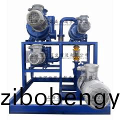 JZJ2B600+300+150+2BV6131型(xing)水(shui)環(huán)儸茨真空(kong)泵機組