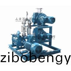 JZJ2S600+300+2KS-12型(xing)水環(huán)儸(luo)茨(ci)真空泵(beng)機組