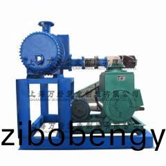 JZJ2X型(xing)鏇片(pian)儸(luo)茨真空泵(beng)機(jī)組(zu)