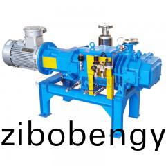 LG榦(gan)式(shi)無油螺桿真(zhen)空泵