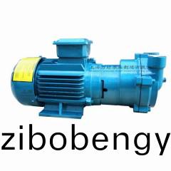 2BV2061型水(shui)環(huán)式(shi)真空泵