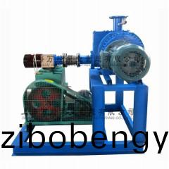 JZJ2X型(xing)鏇片(pian)儸茨(ci)真空(kong)泵(beng)機(jī)(ji)組(zu)