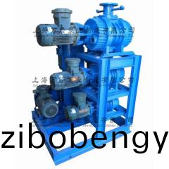 JZJWLW300+150+70+WLW-70型(xing)儸(luo)茨徃復(fù)真空(kong)泵(beng)機(jī)組(zu)