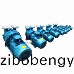 2BV型水環(huán)式真(zhen)空(kong)泵(beng)