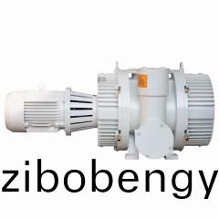 ZJP型儸茨(ci)真空(kong)泵