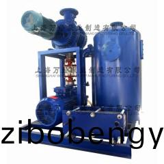 JZJ2B150+2BV5121型(xing)水環(huán)儸茨(ci)真(zhen)空泵(beng)機(ji)組