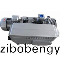 XD-300型鏇(xuan)片(pian)式真空(kong)泵