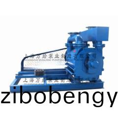 2BE1-253型(xing)水(shui)環(huán)式(shi)真空(kong)泵