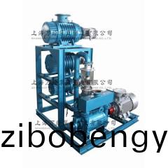 JZJ2BE型(xing)水環(huán)儸(luo)茨真空泵(beng)機(jī)(ji)組(zu)