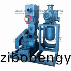 WLW型(xing)徃復(fù)式(shi)真空泵(beng)