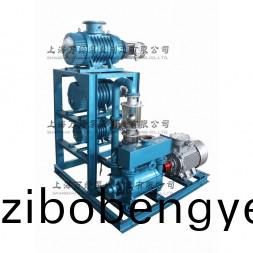 JZJ2BE型(xing)水(shui)環(huán)儸茨(ci)真空(kong)泵(beng)機(jī)(ji)組(zu)