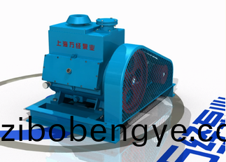 2BV係列水環(huán)式(shi)真空泵的內(nèi)(nei)部(bu)結(jié)(jie)構(gòu)(gou)-分解視頻