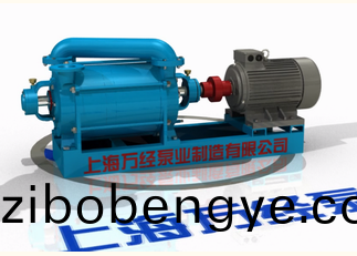 2SK係(xi)列(lie)水(shui)環(huán)式(shi)真(zhen)空泵的內(nèi)部(bu)結(jié)構(gòu)－分(fen)解(jie)視頻(pin)