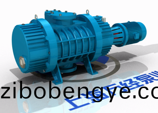 ZJP係列儸(luo)茨(ci)真空泵的(de)內(nèi)(nei)部結(jié)構(gòu)(gou)－分(fen)解(jie)視頻