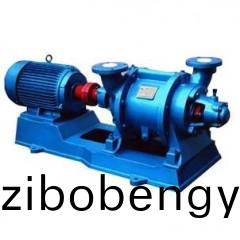SZ型水環(huán)式(shi)真空(kong)泵