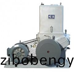 H滑閥(fa)式真(zhen)空泵