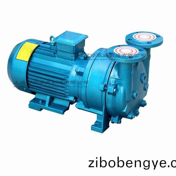 2BV型(xing)水環(huán)(huan)式真空泵(beng)