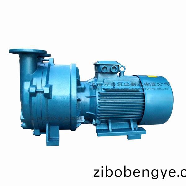 2BV5161型水環(huán)(huan)式真空(kong)泵(beng)