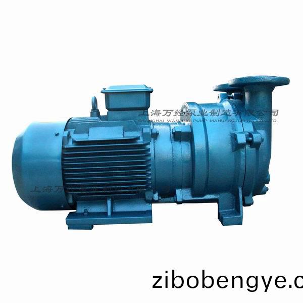 2BV5131型(xing)水環(huán)(huan)式真空(kong)泵