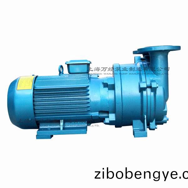 2BV5121型水環(huán)式真(zhen)空泵(beng)