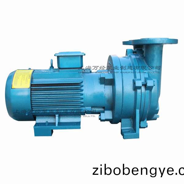 2BV5110型(xing)水環(huán)(huan)式真(zhen)空(kong)泵